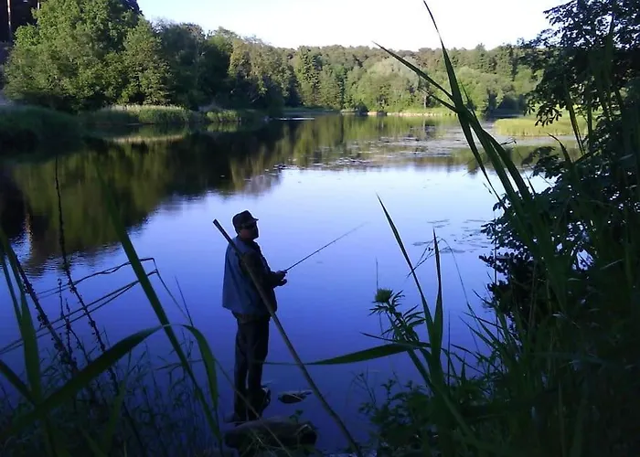 Cozy 2-room Apartament